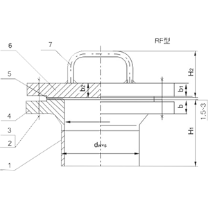 Welding Neck Flange Handholes